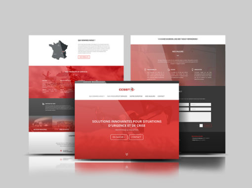 SITE WEB ONEPAGE | CCSST