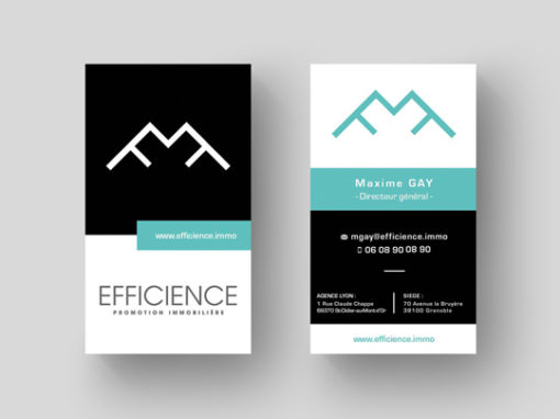 IDENTITE VISUELLE | EFFICIENCE